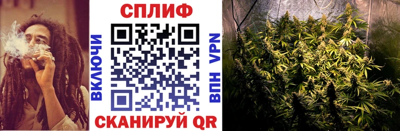 Каннабис сатива  Видное 